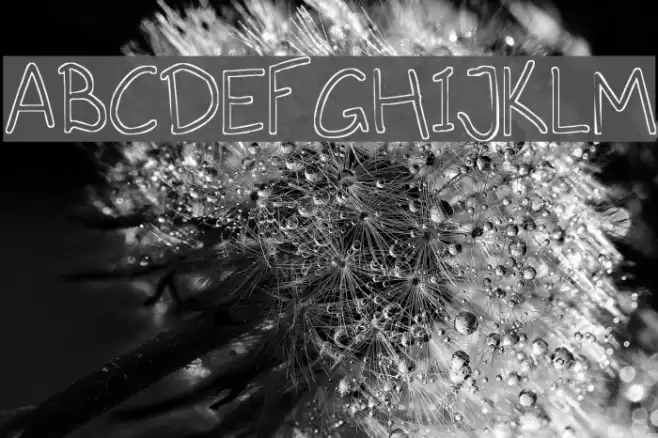 Outlines Font examples