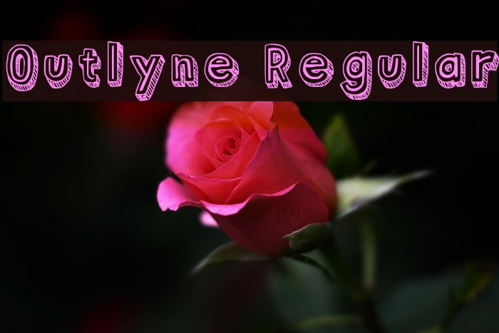 Outlyne Regular Example 1