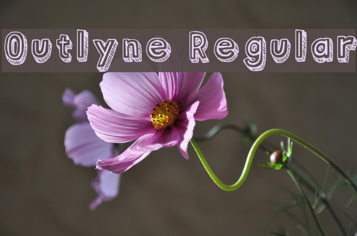 Outlyne Regular Example 2