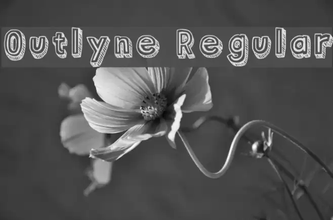 Outlyne Regular Font examples