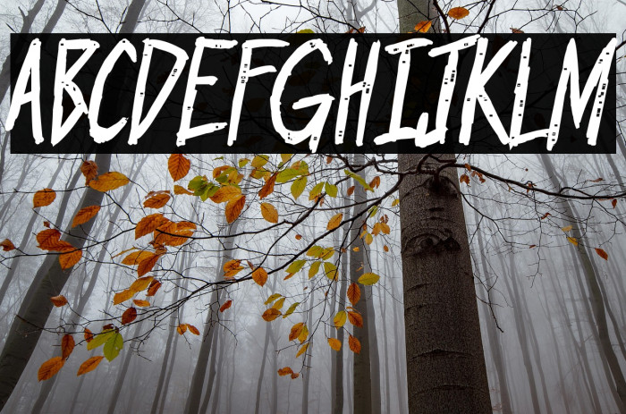 Outrage PG Bold Example 1