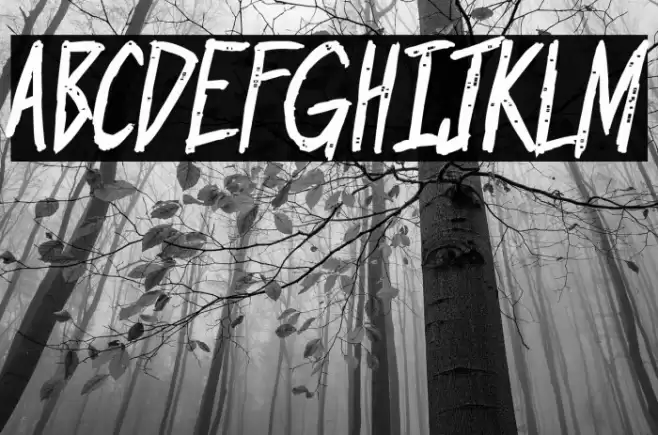 Outrage PG Bold Font examples