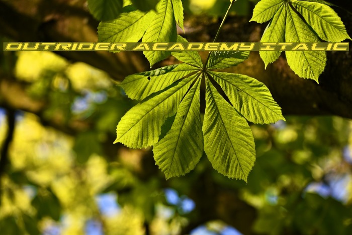 Outrider Academy Italic Font examples