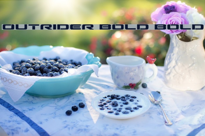 Outrider Bold Bold Font examples