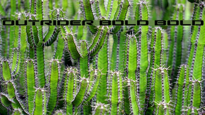 Outrider Bold Bold Font examples