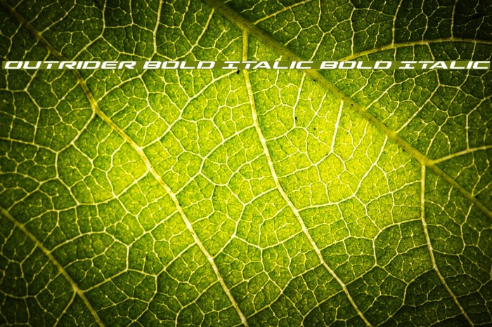 Outrider Bold Italic Bold Italic Font examples