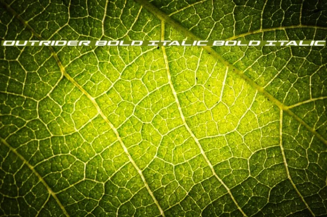 Outrider Bold Italic Bold Italic Example 1