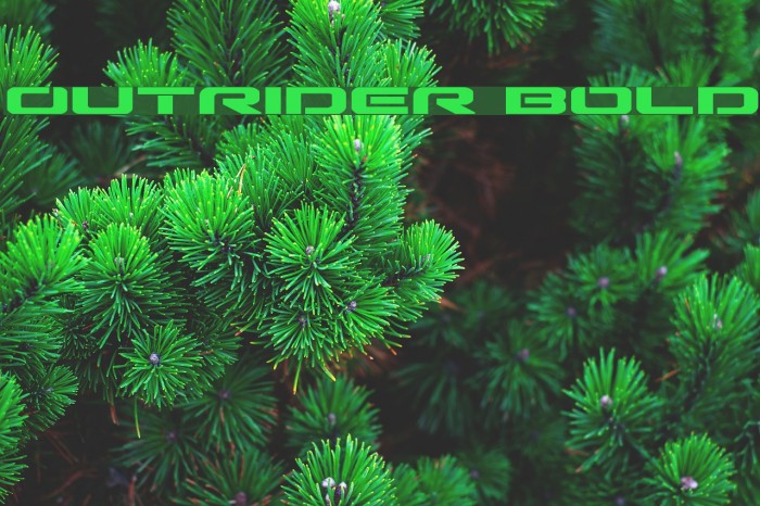 Outrider Bold Example 1