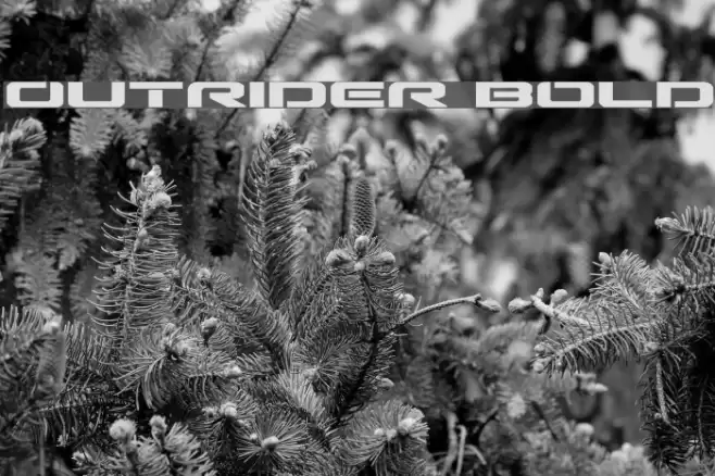 Outrider Bold Font examples