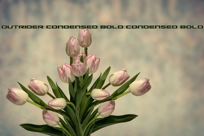 Outrider Condensed Bold Condensed Bold Font examples