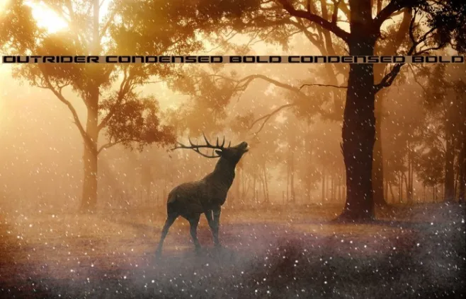 Outrider Condensed Bold Condensed Bold Example 2