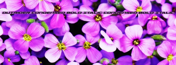 Outrider Condensed Bold Italic Condensed Bold Italic Font examples