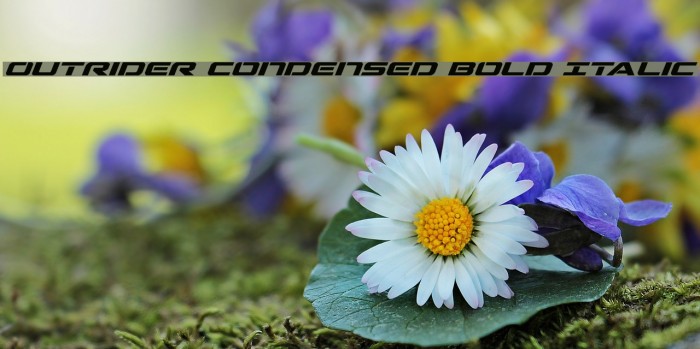 Outrider Condensed Bold Italic Example 2