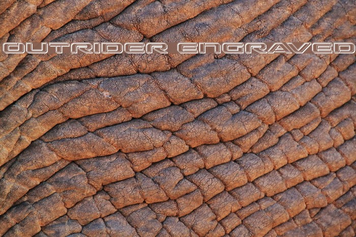 Outrider Engraved Example 2