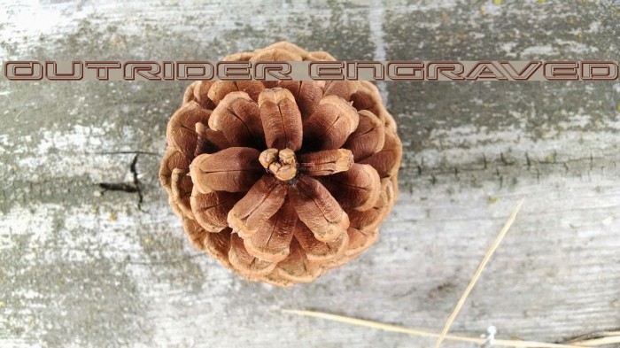 Outrider Engraved Example 3