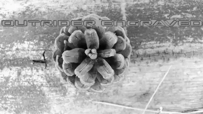 Outrider Engraved Font examples