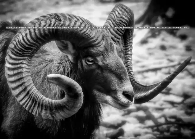 Outrider Expanded Bold Italic Expanded Bold Italic Font examples