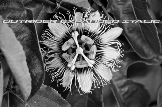 Outrider Expanded Italic Font examples