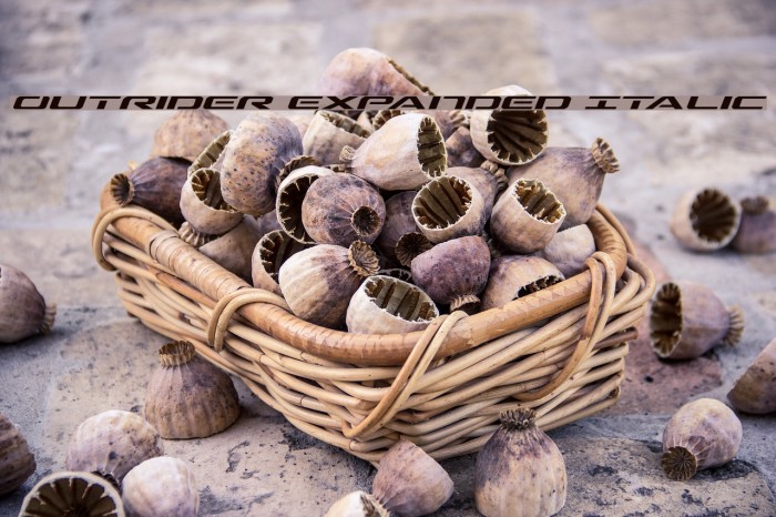 Outrider Expanded Italic Example 3