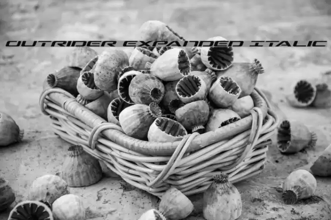 Outrider Expanded Italic Font examples