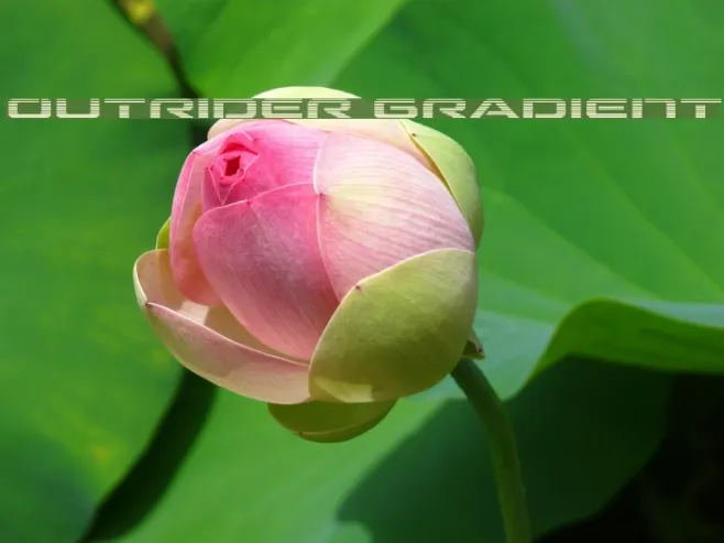 Outrider Gradient Example 2