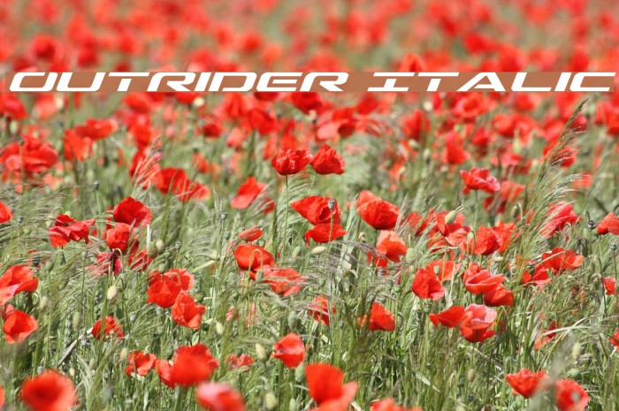 Outrider Italic Font examples