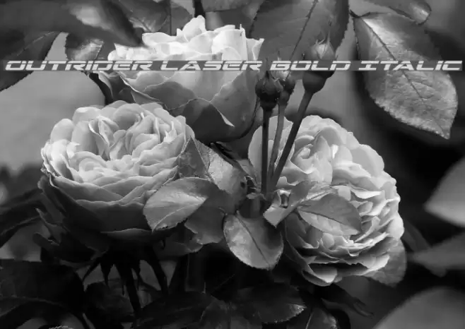 Outrider Laser Bold Italic Font examples