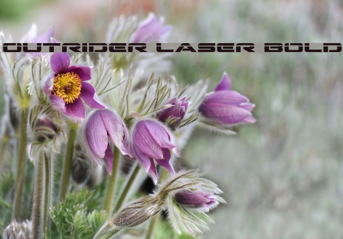 Outrider Laser Bold Example 3