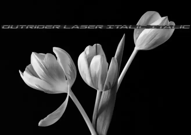 Outrider Laser Italic Italic Font examples