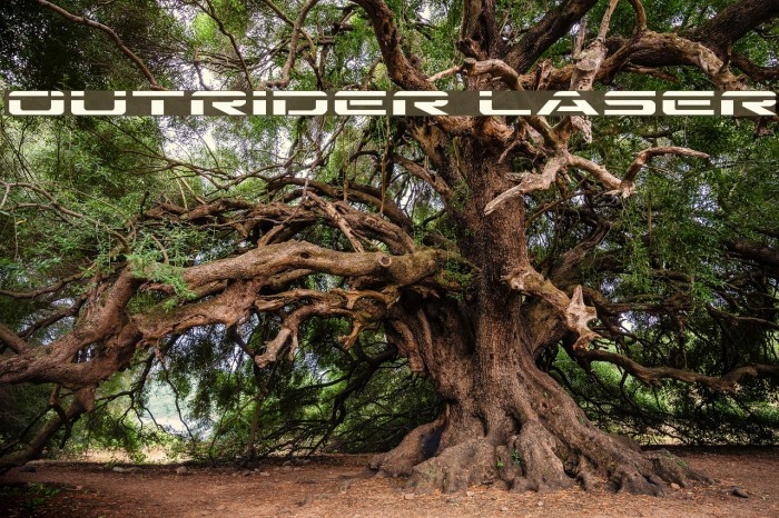 Outrider Laser Example 1