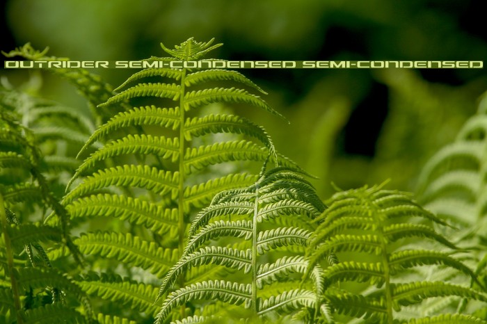 Outrider Semi-Condensed Semi-Condensed Example 1