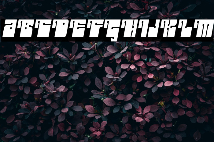 Outright-Regular Example 1