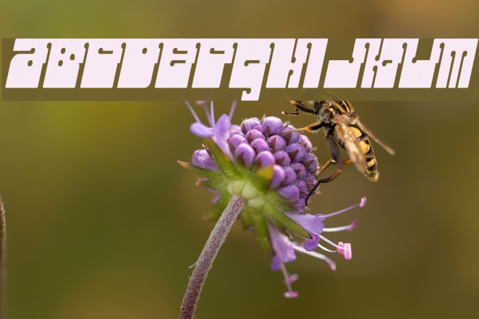 Outright Televism Font examples