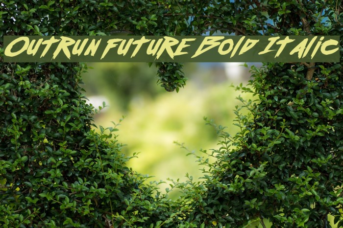 Outrun future Bold Italic Example 1