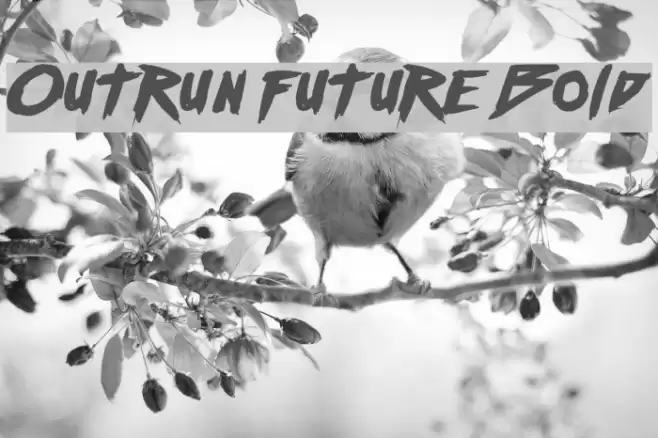 Outrun future Bold Font examples