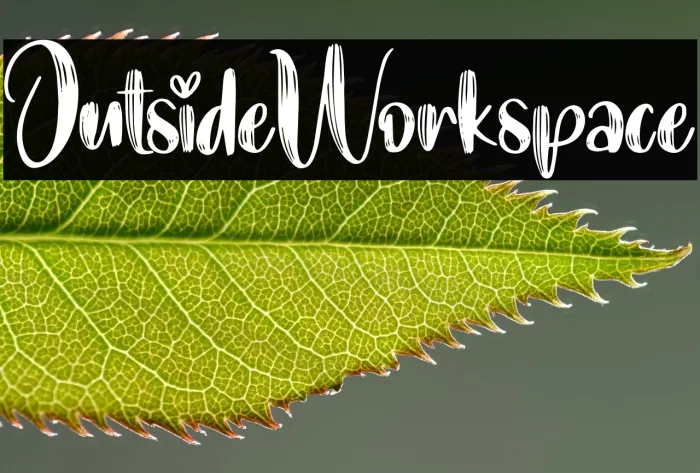 Outside Workspace Example 3