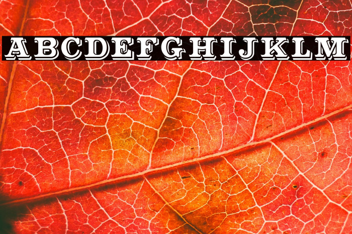 Outstanding Example 2