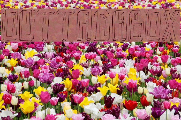 Outtadabox Example 2