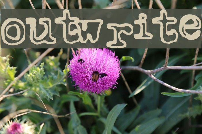 Outwrite Font examples