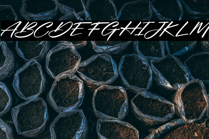 OuvalityFREE Example 1