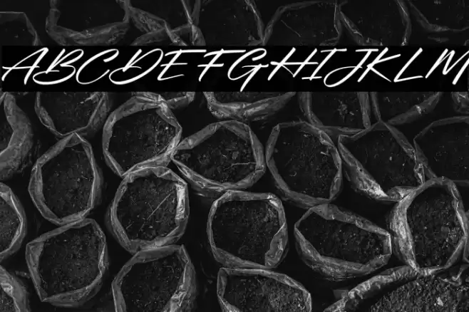 OuvalityFREE Font examples