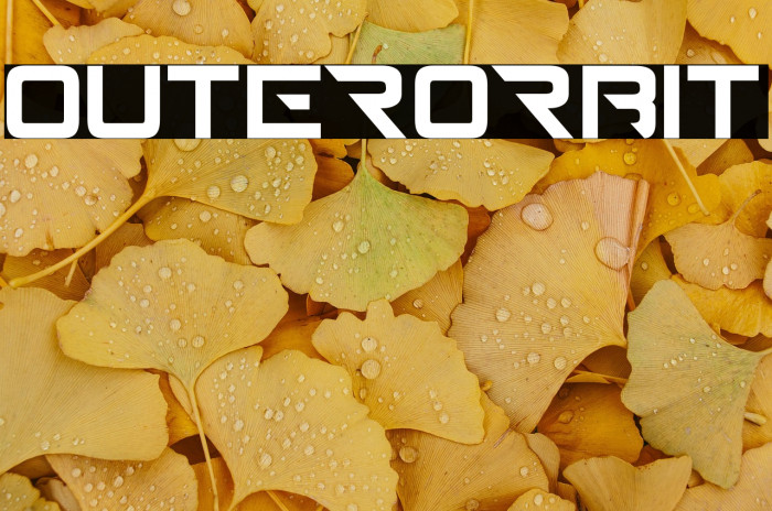 outerorbit Example 3