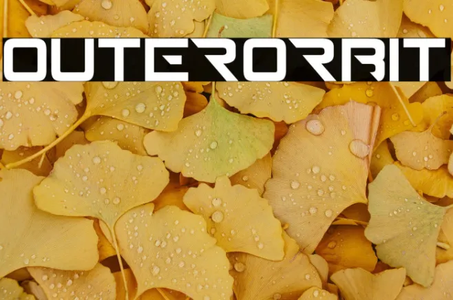 outerorbit Example 3