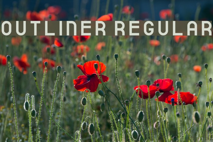 outliner Regular Example 1