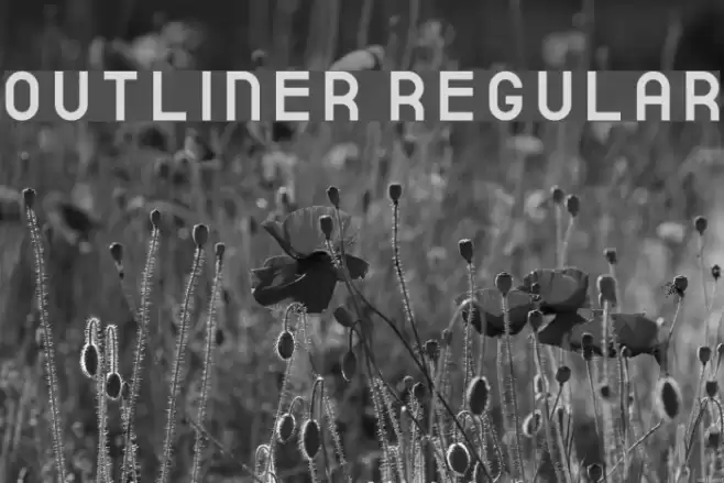 outliner Regular Font examples