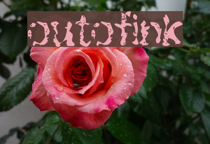outofink Font examples