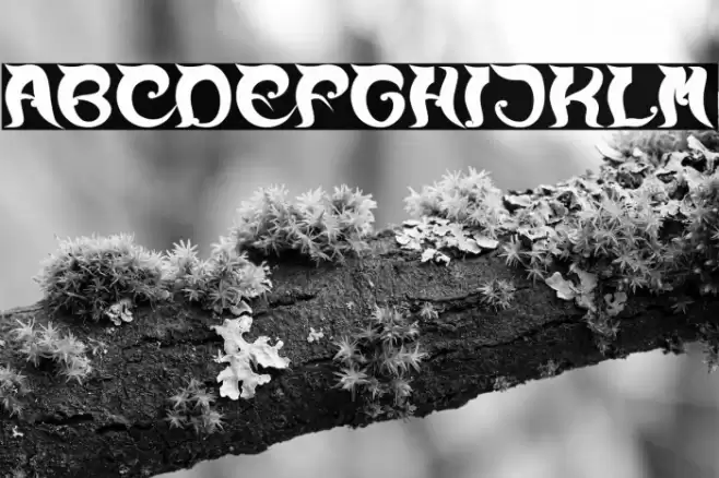 OVER THE MOUNTAIN Bold Font examples