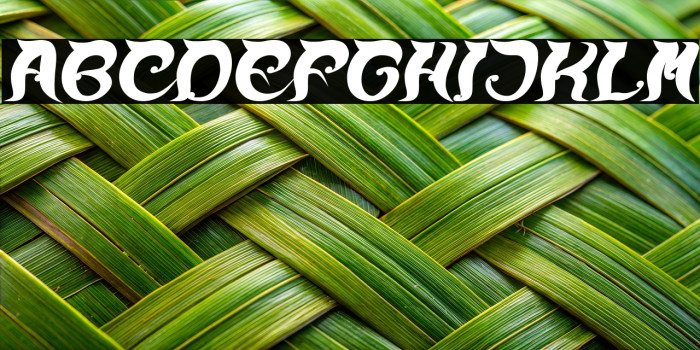 OVER THE MOUNTAIN-Italic Bold Italic Example 1