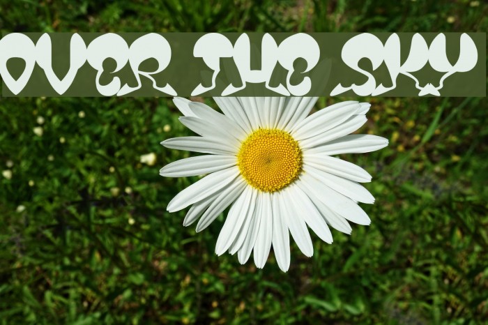 OVER THE SKY Font examples