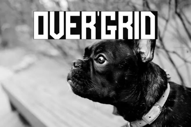 OVER'GRID Example 1